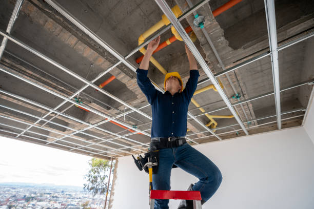 Best Same-Day Plumbing Service  in Anthony, KS